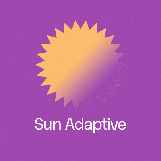 Sun Adaptive Lenses in Pleasing Purple